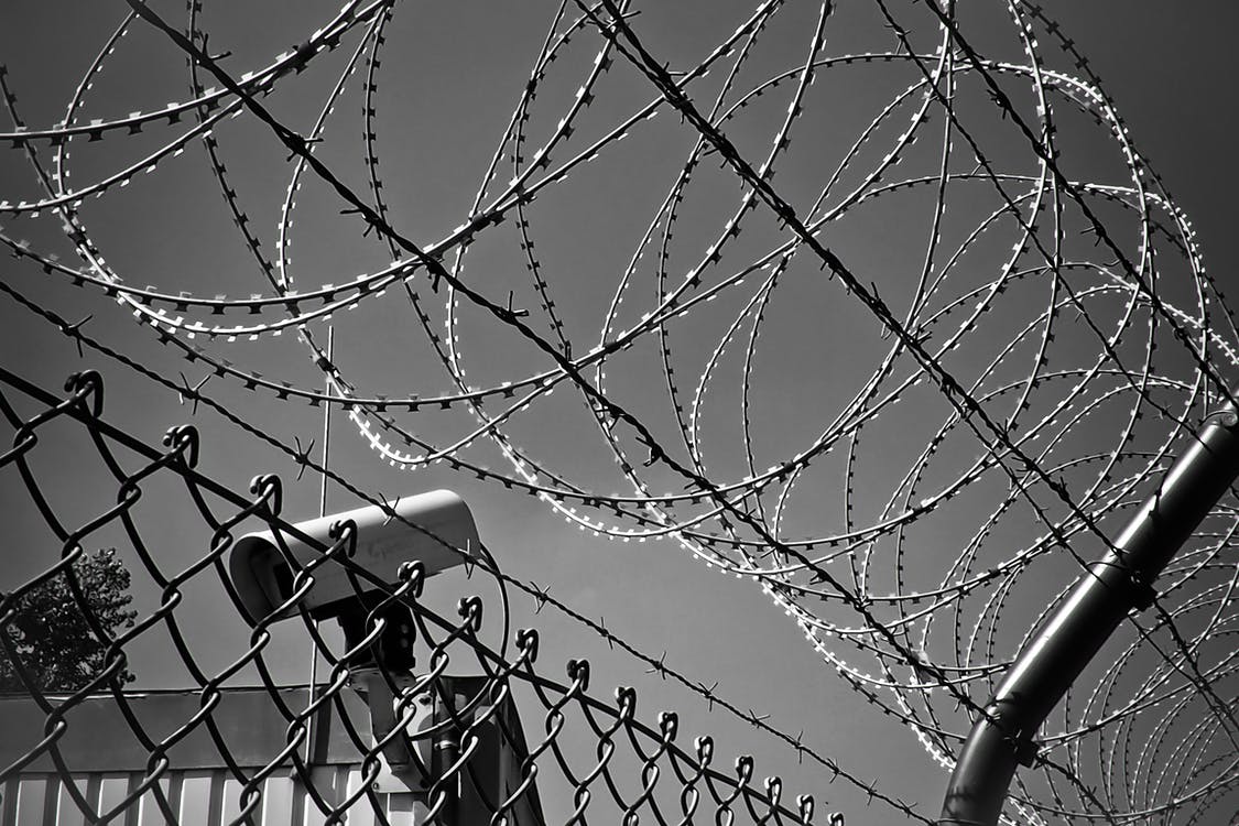 Grayscale Photo of Barbed Wire