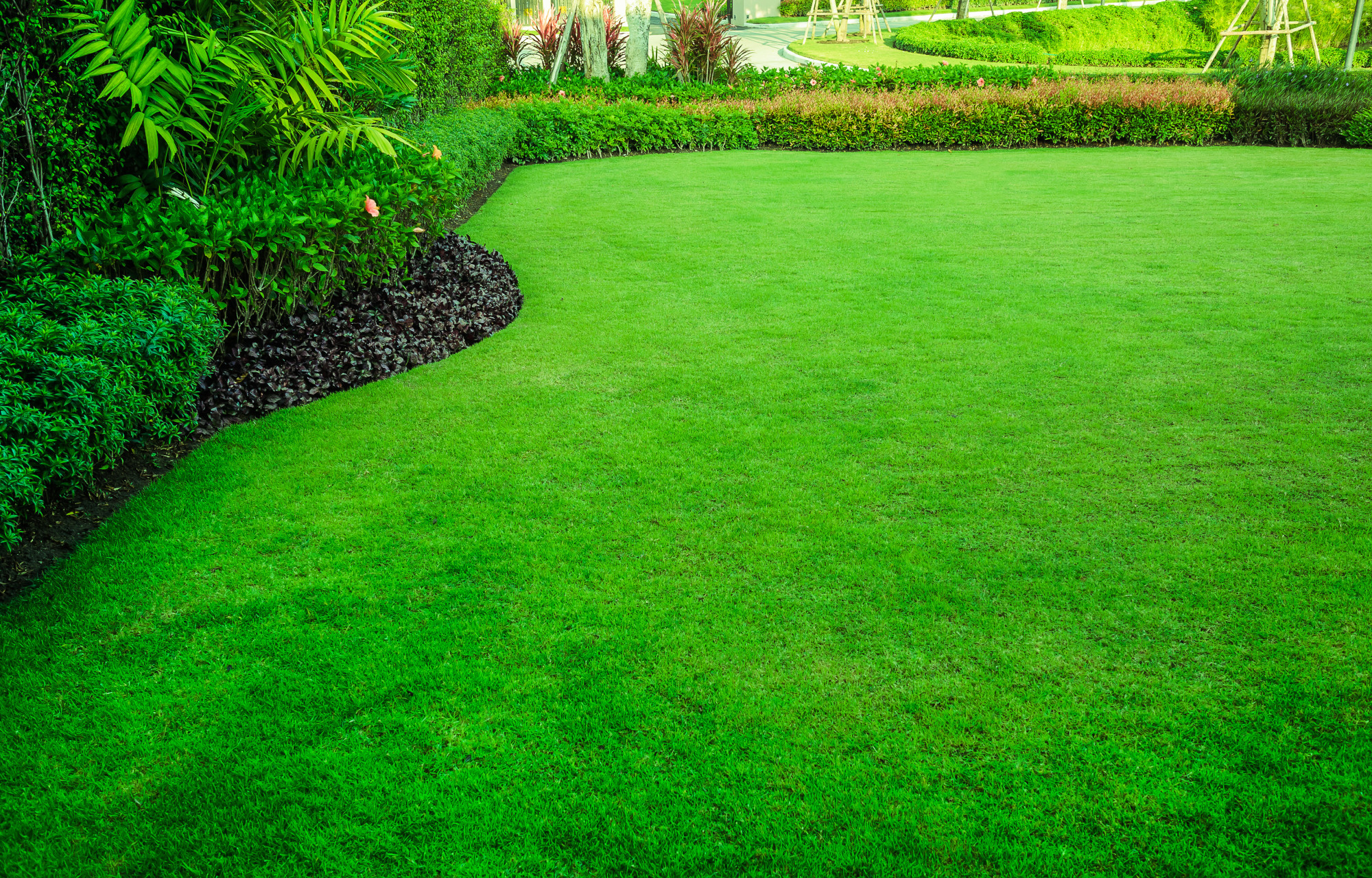 How to Get a Green Lawn: 5 Ways to Really Get Greener Grass